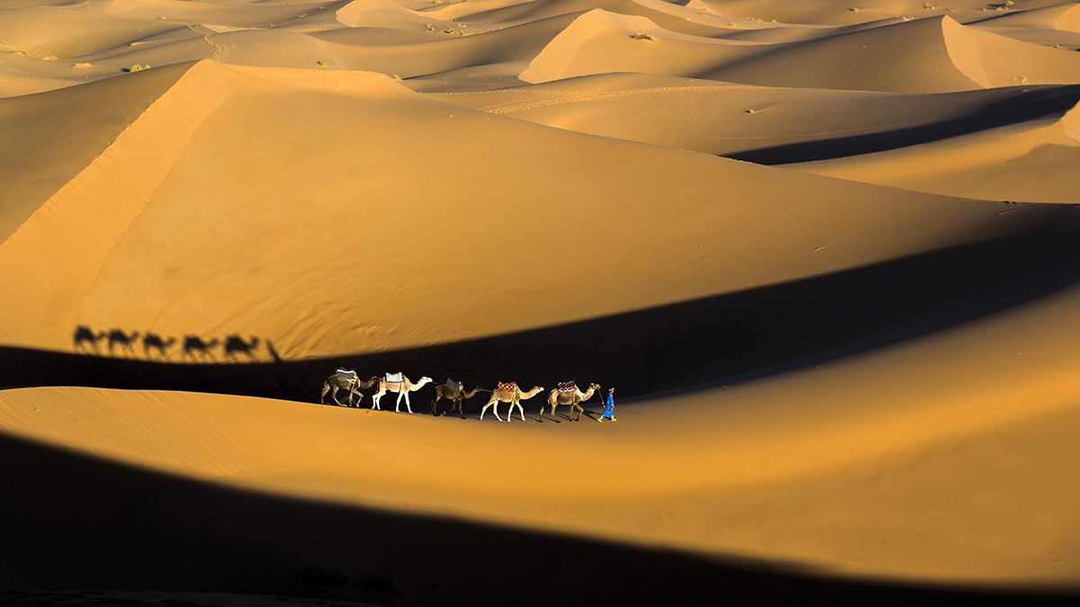 Desert Tours from Marrakech